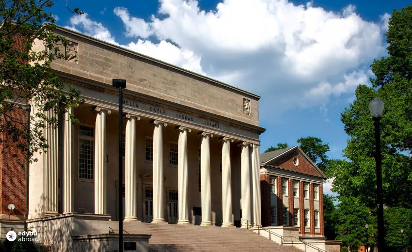 How Does Duke MSQM Salary Compare to Other Top B-Schools?